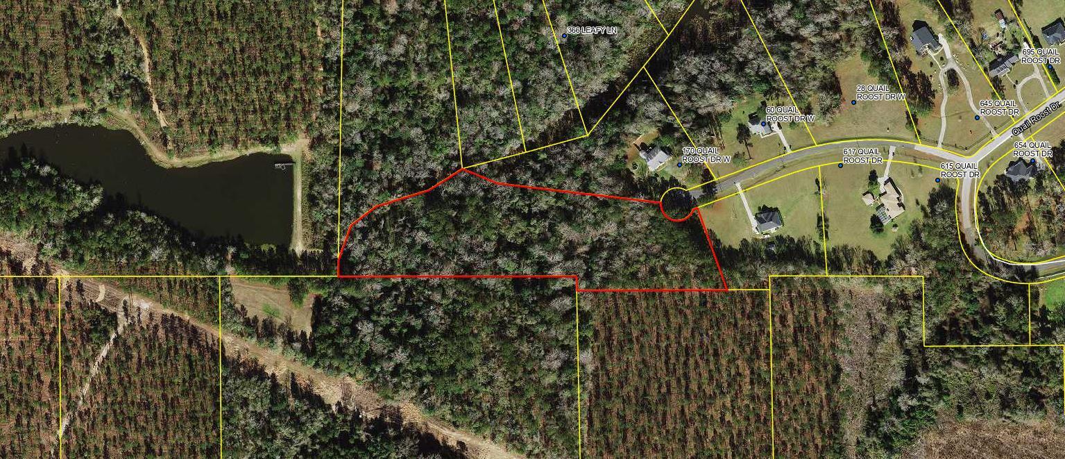 Tbd W Quail Roost Drive, Quincy, FL 32352, Quincy