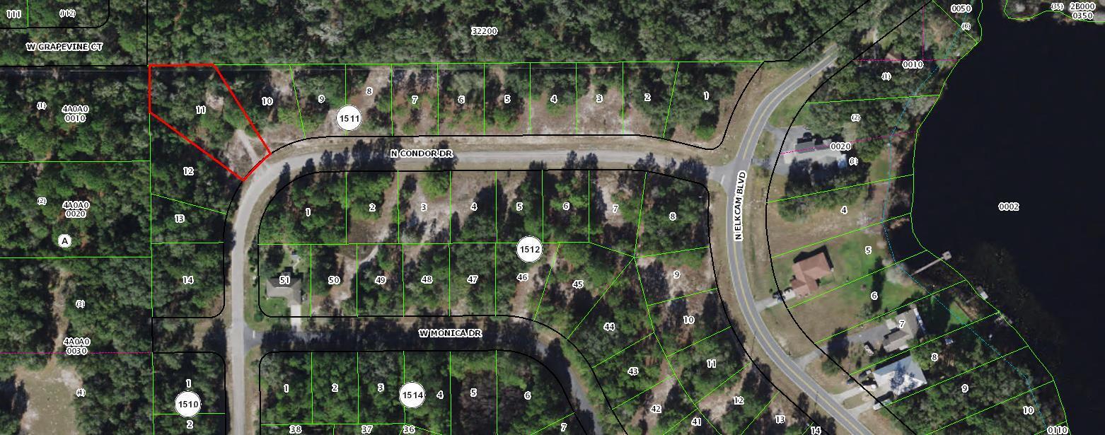 11960 N Condor Drive, Citrus Springs, FL 34433, Citrus Springs
