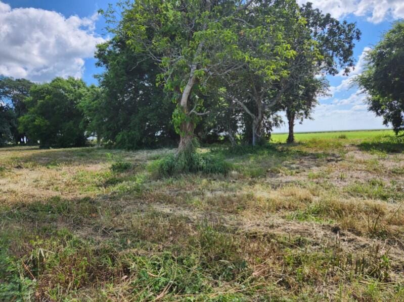 14754 Us Highway 441, Canal Point, FL 33438 photo 4