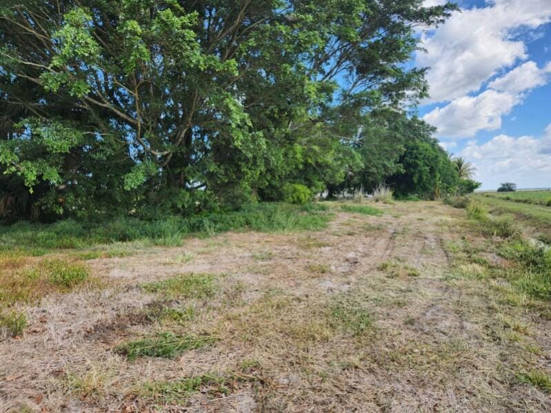 14754 Us Highway 441, Canal Point, FL 33438 photo 6