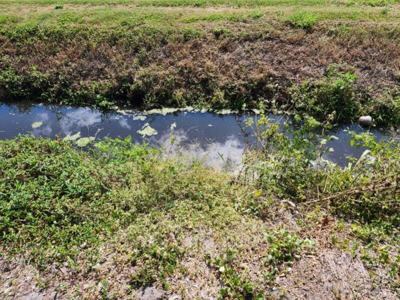 14754 Us Highway 441, Canal Point, FL 33438 photo 9