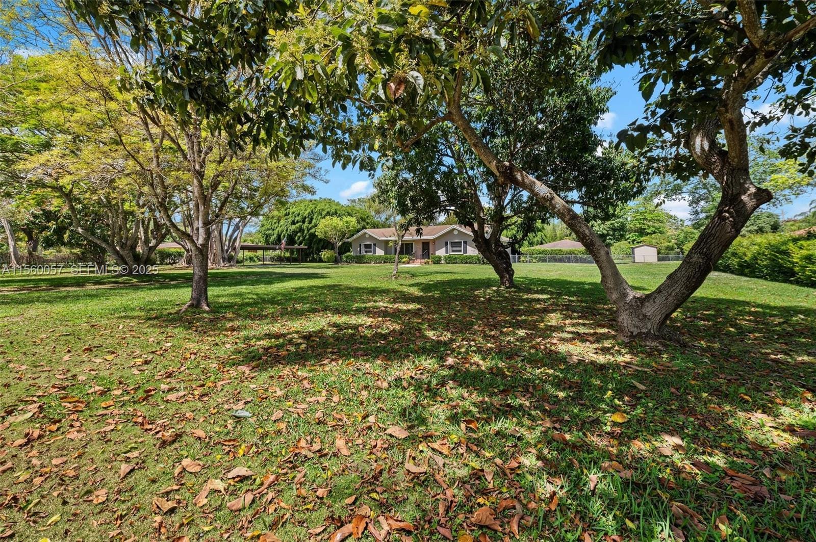 8205 SW 136th Street, Pinecrest, FL 33156 photo 4