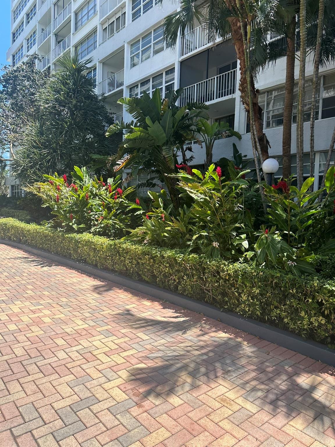 1160 N Federal Highway 415, Fort Lauderdale, FL 33304 photo 25