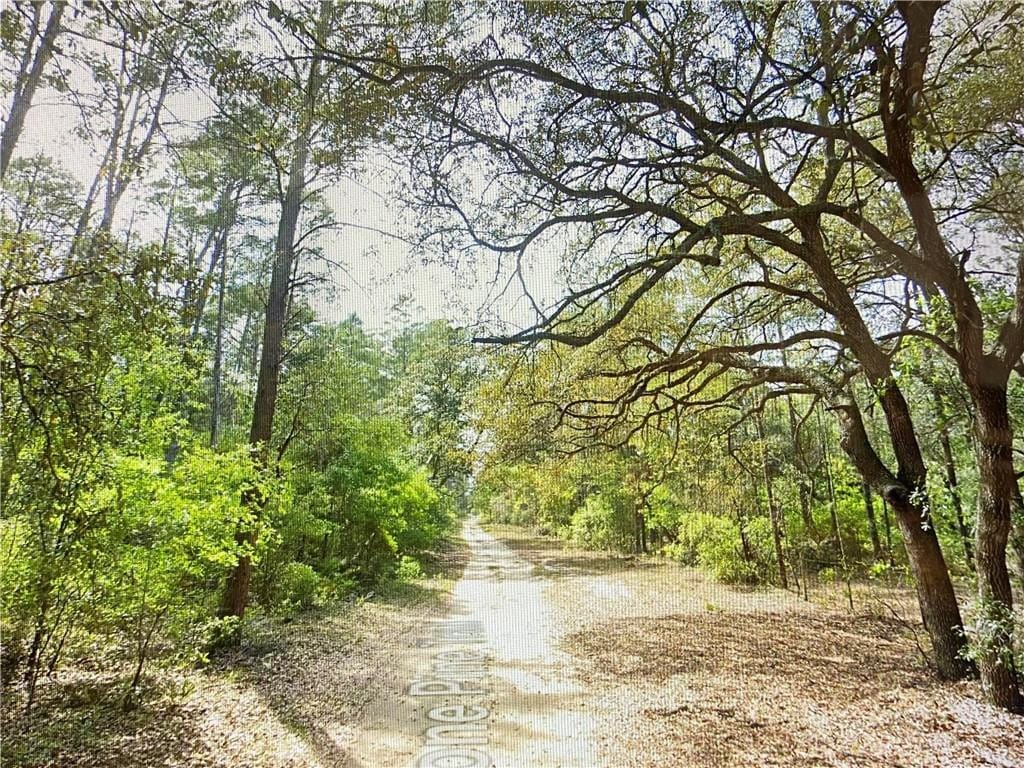 0000 Lone Pine Trail — photo 10
