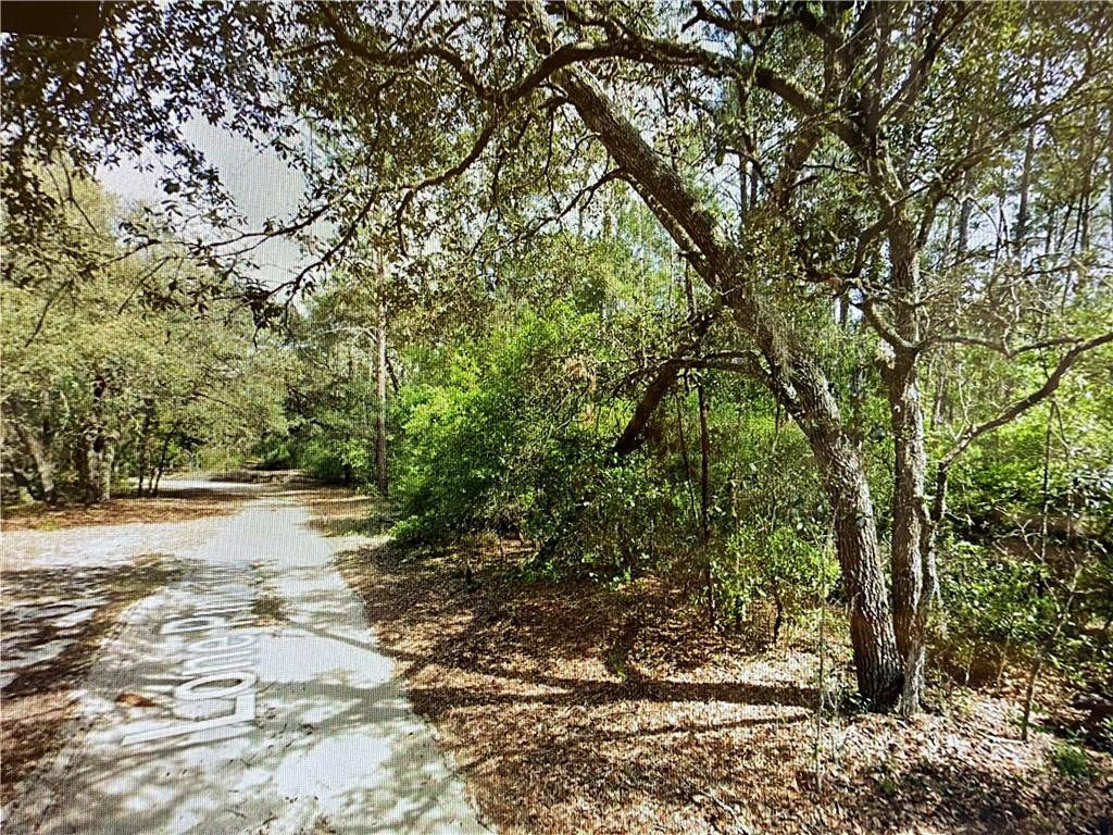 0000 Lone Pine Trail, FL 32666, Melrose
