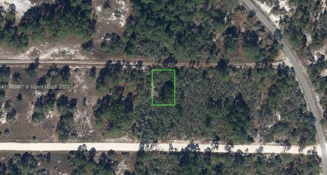 341 Moon River Avenue, Lake Placid, FL 33852 photo 2