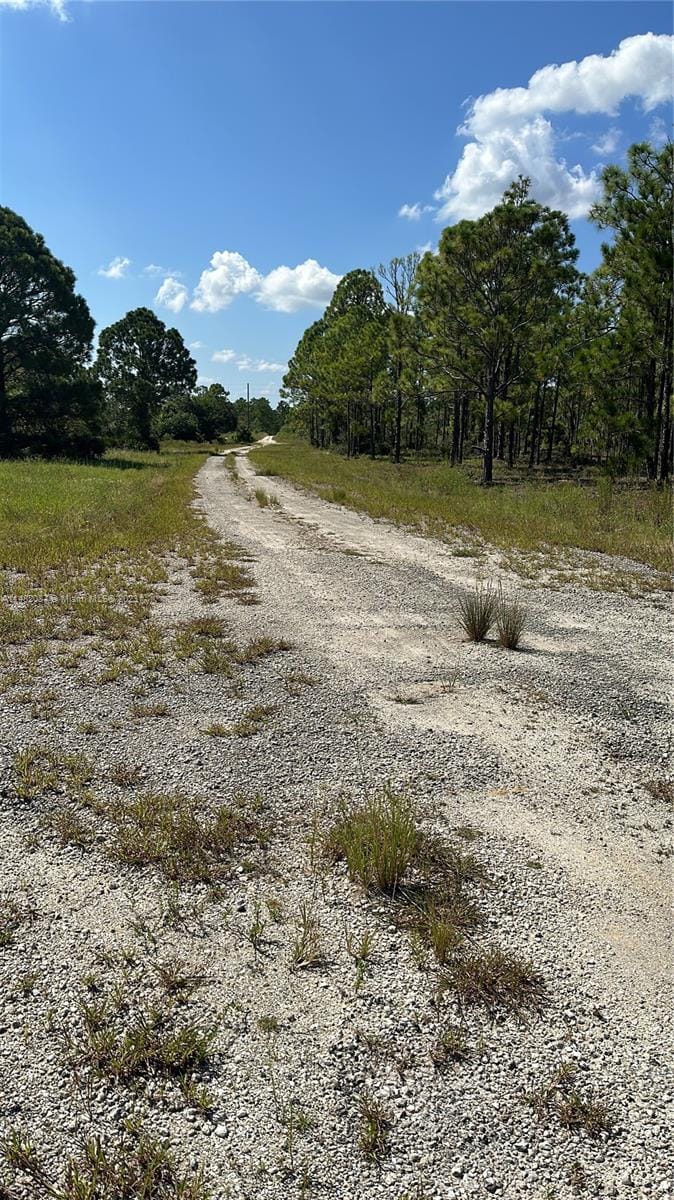341 Moon River Avenue, Lake Placid, FL 33852 photo 3