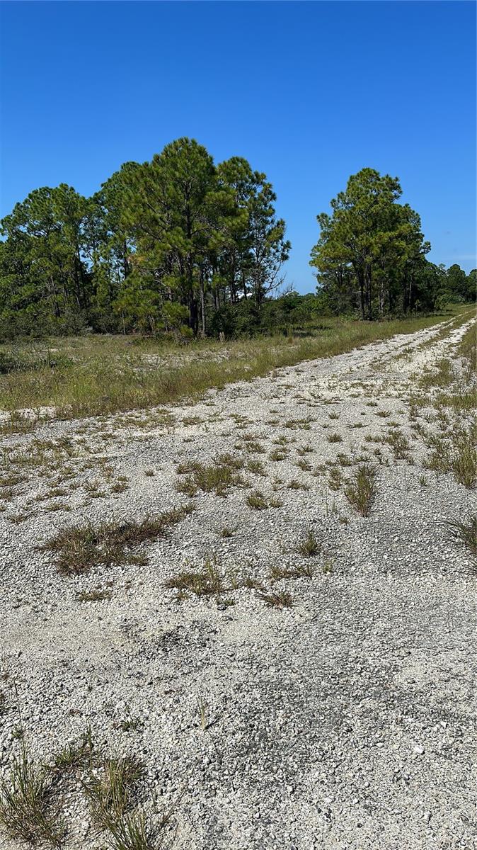 341 Moon River Avenue, Lake Placid, FL 33852, Lake Placid