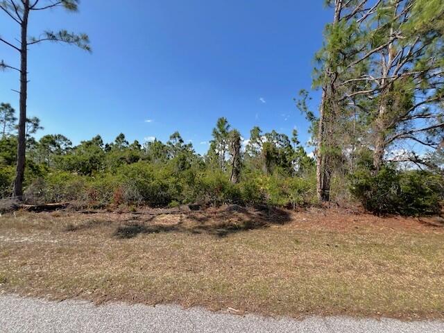 12108 Benham Avenue, Port Charlotte, FL 33981, Port Charlotte