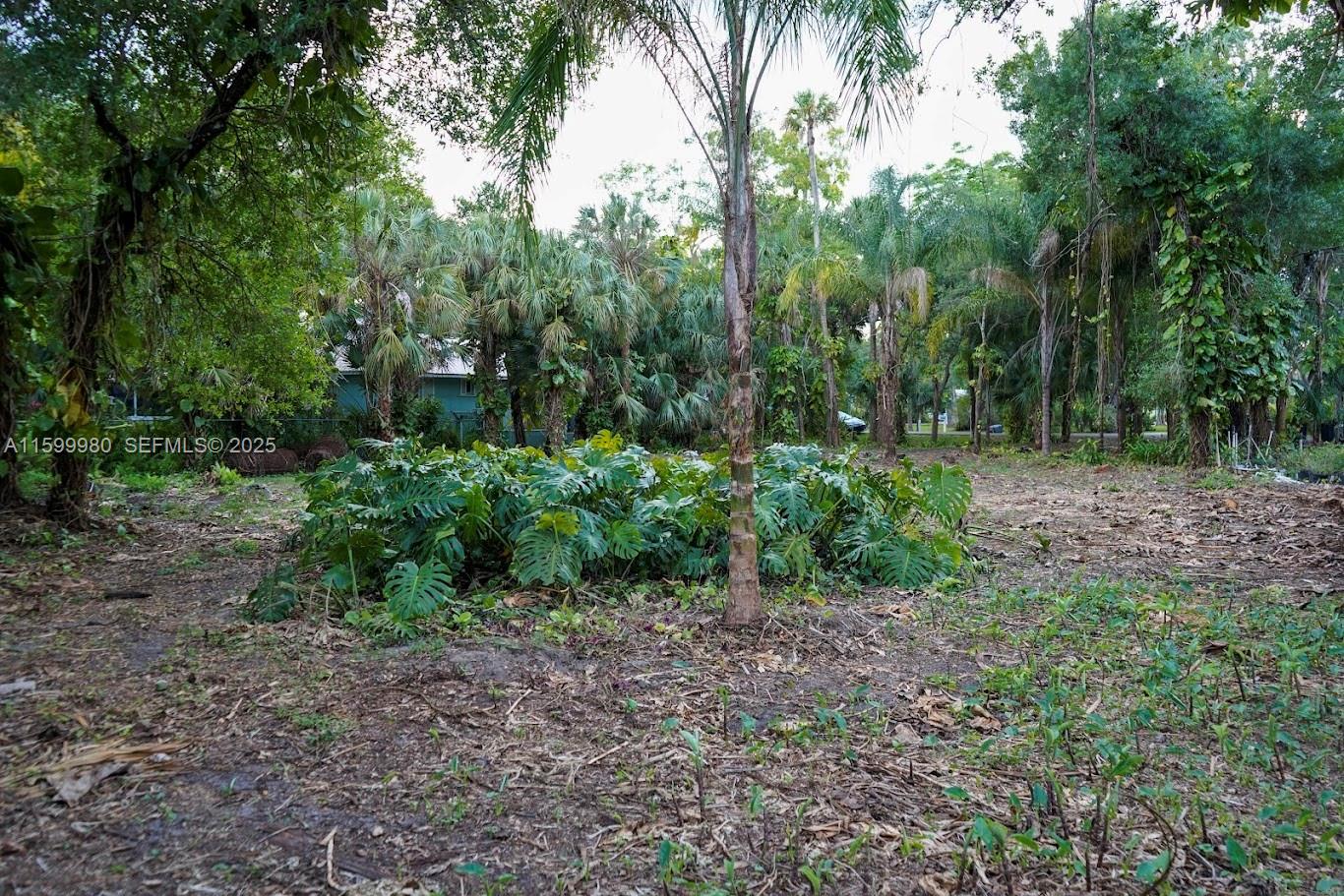 385 Caloosa Drive, LaBelle, FL 33935, Labelle