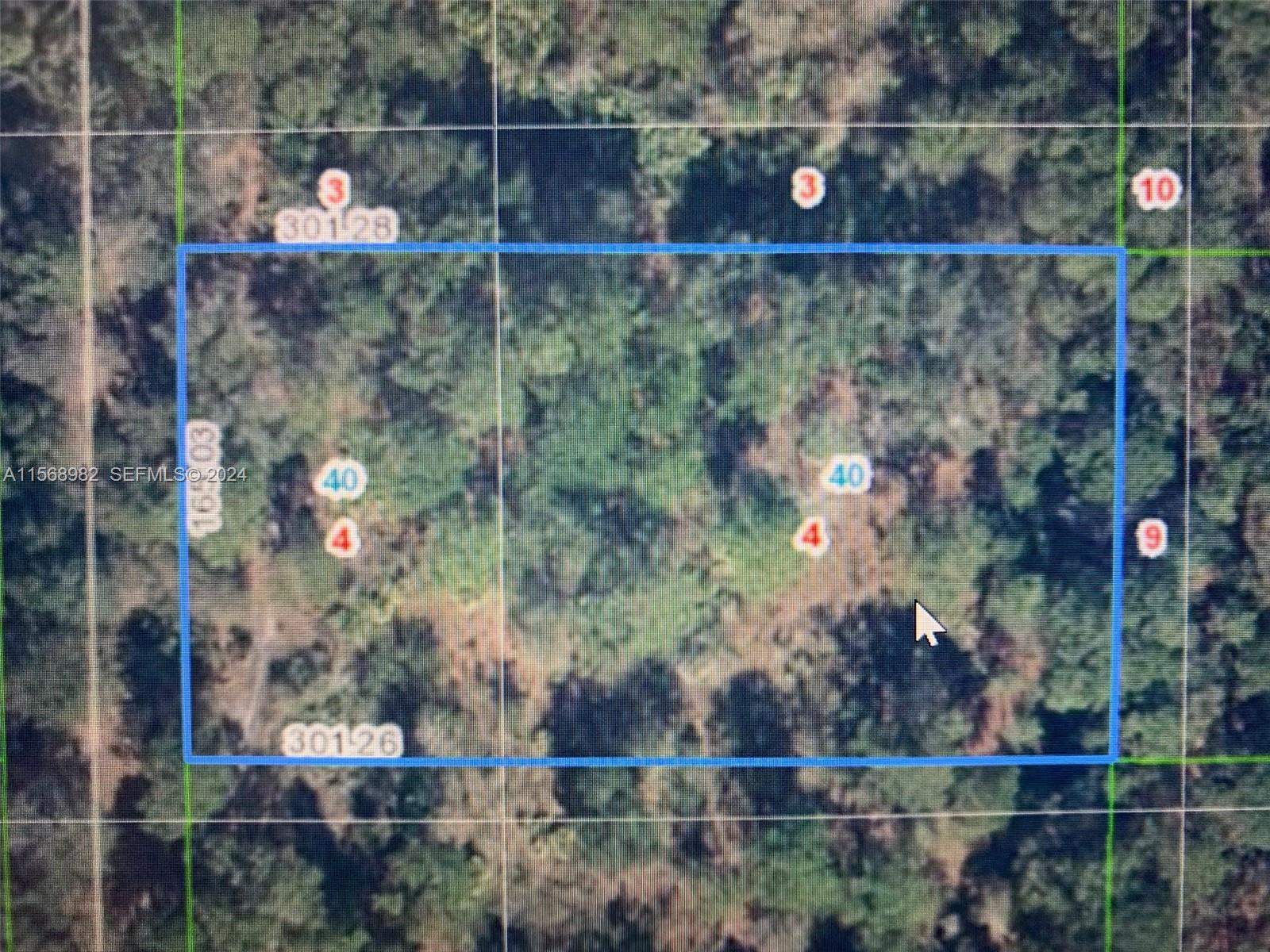 1939 S Griese Road, Avon Park, FL 33825, Avon Park