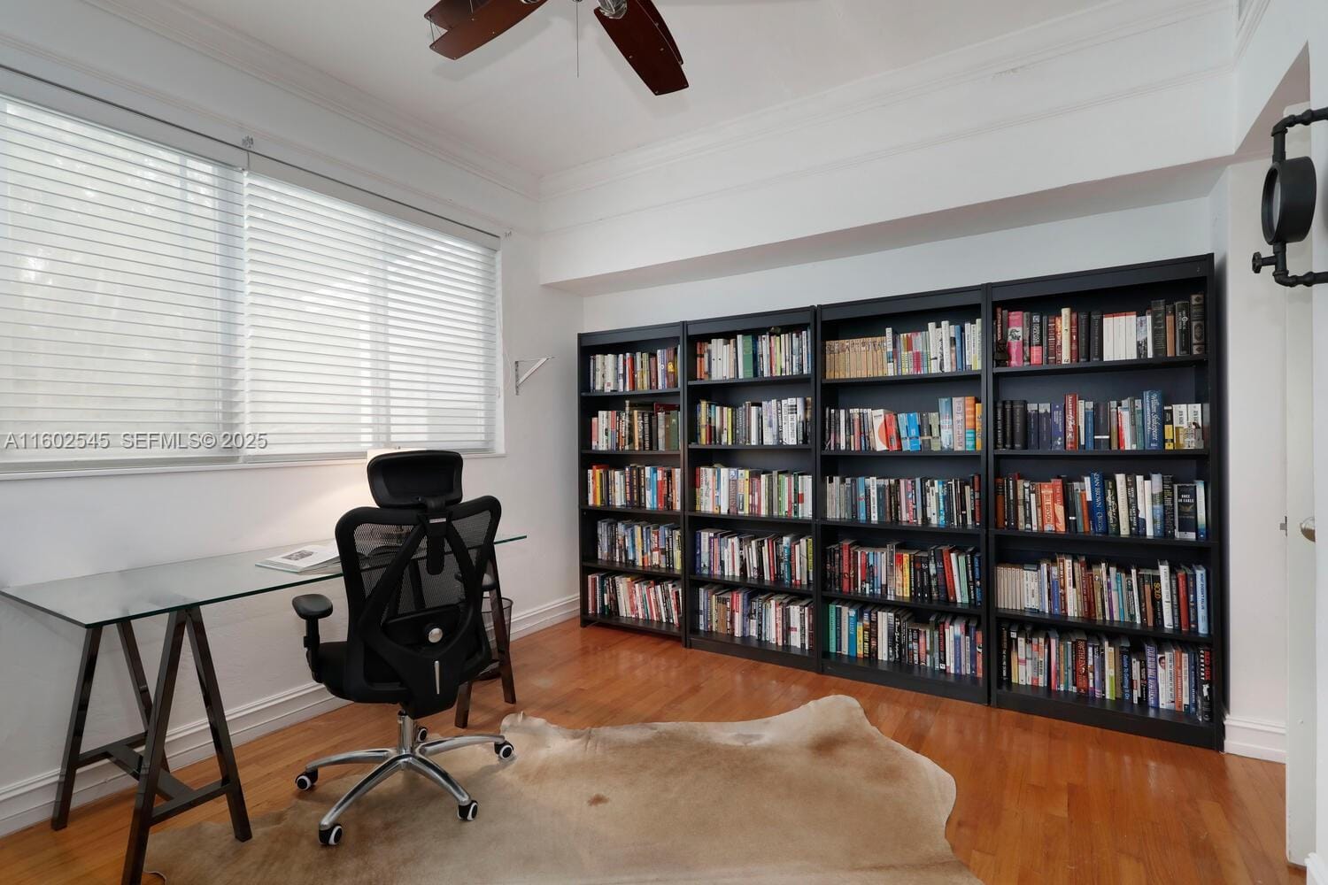 84 W Shore Drive, Coconut Grove, FL 33133 photo 11