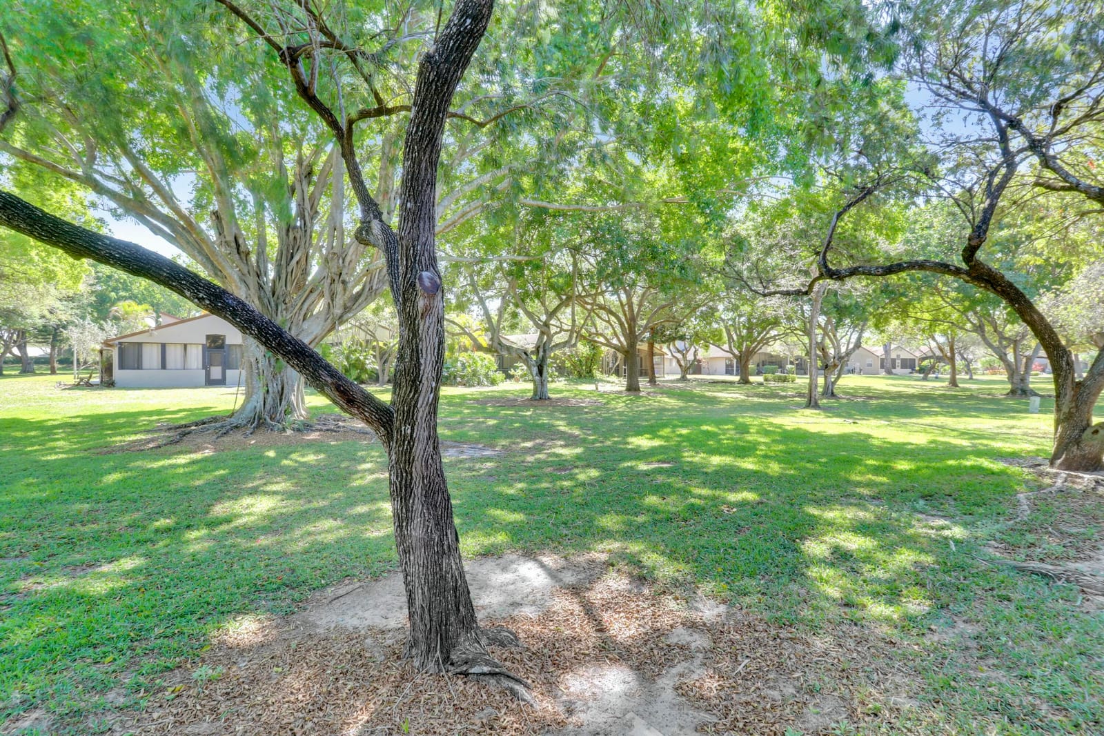 22274 Misty Woods Way, Boca Raton, FL 33428 photo 17