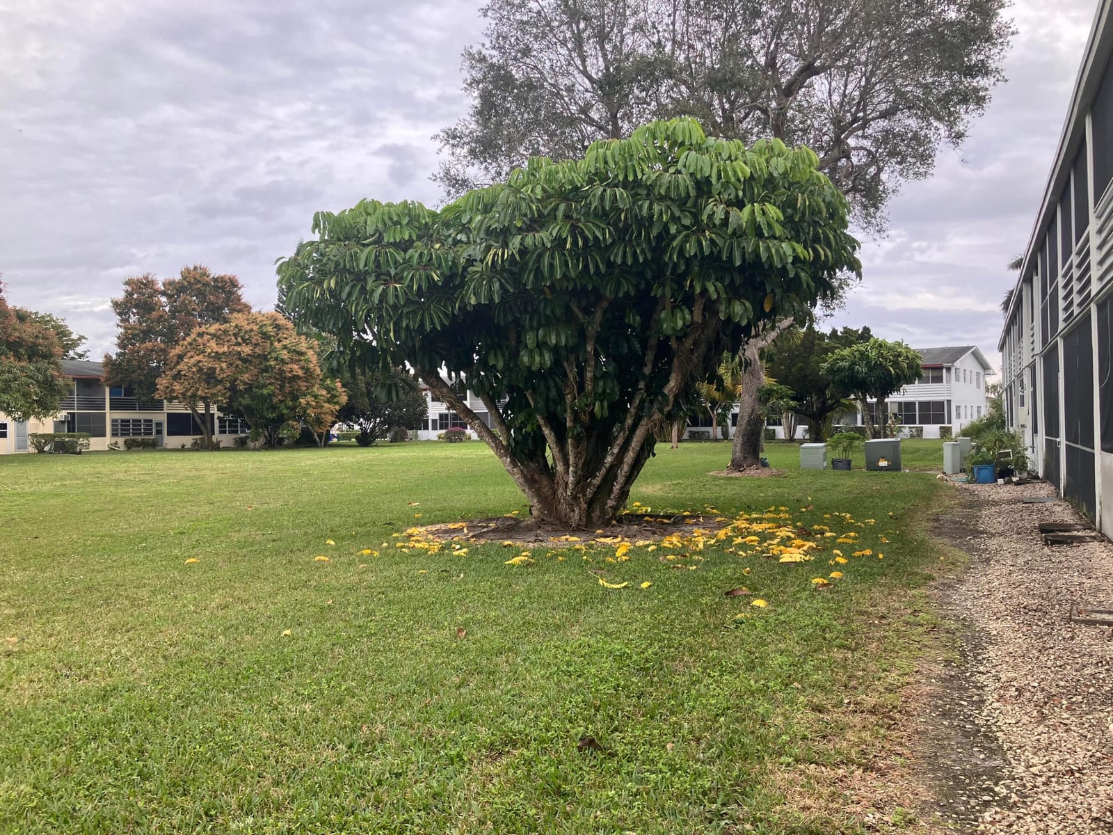 337 Camden O, West Palm Beach, FL 33417 photo 30