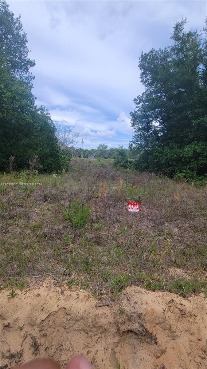 0 Lenore Avenue — photo 3