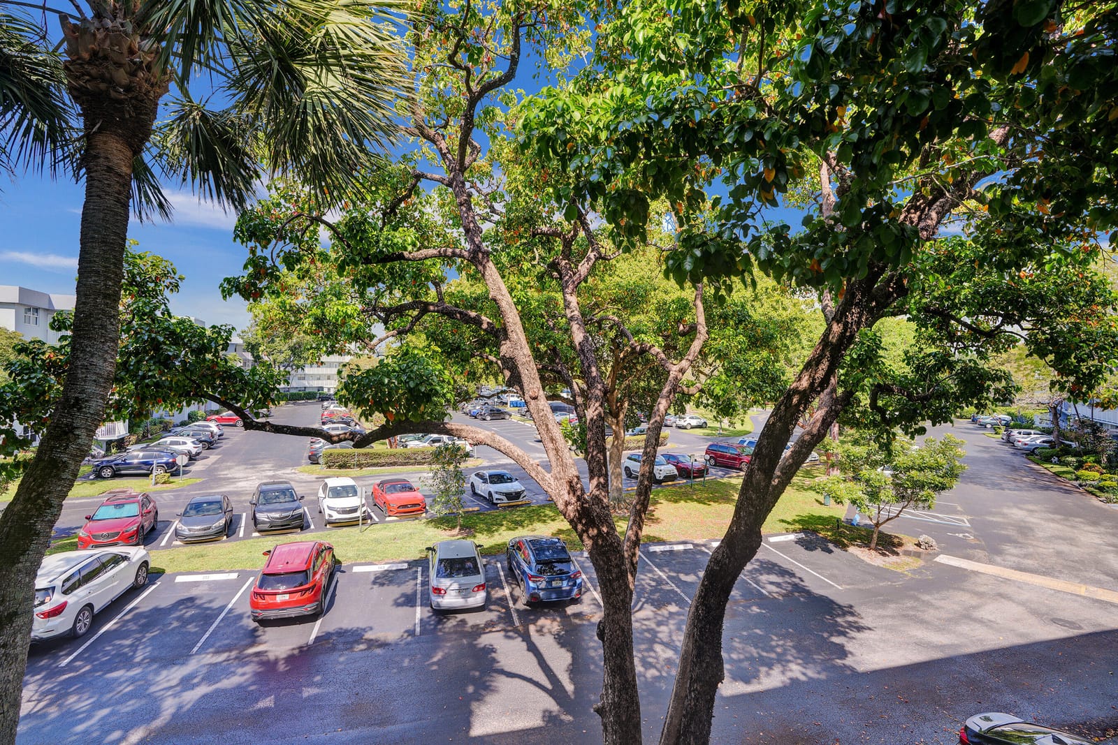 105 Royal Park Drive 3d, Oakland Park, FL 33309 photo 17