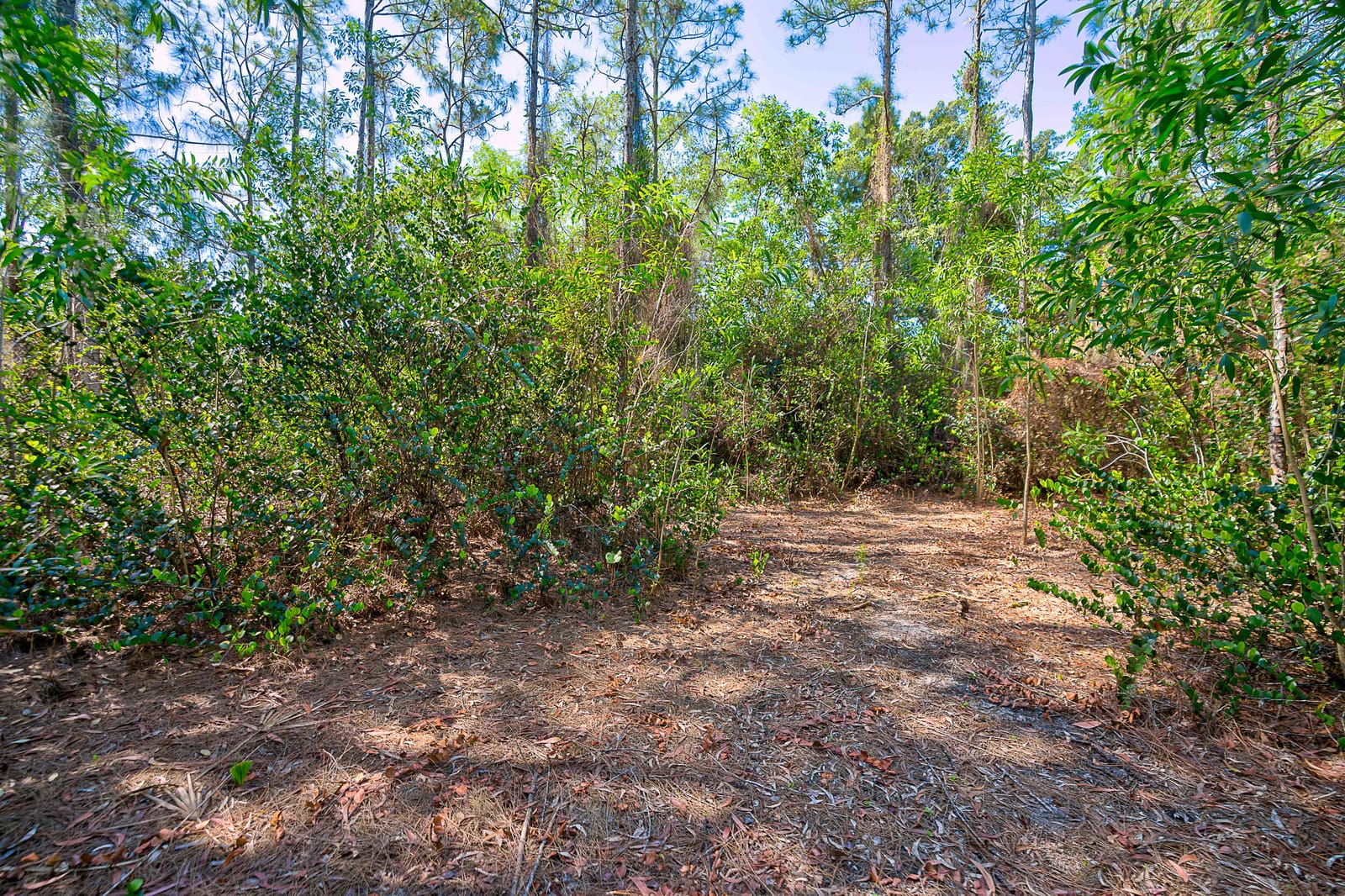 11473 154th Road N, Jupiter, FL 33478 photo 15