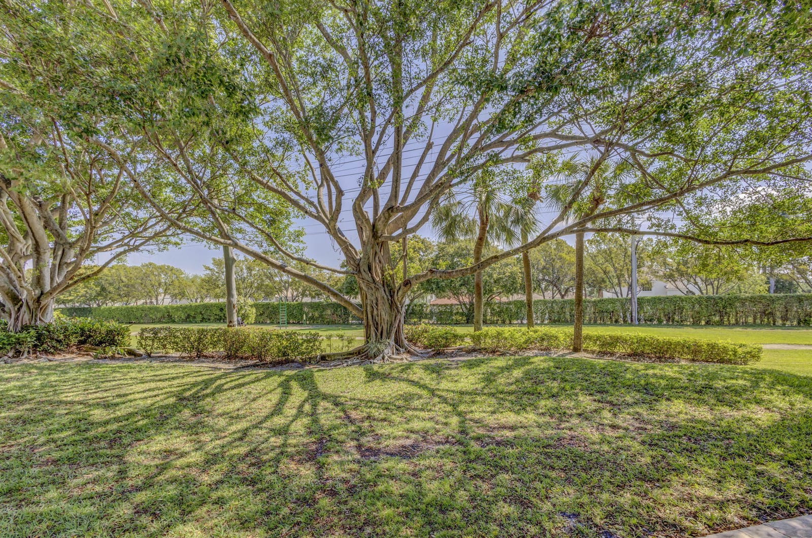 3141 Kingston Court, West Palm Beach, FL 33409 photo 4