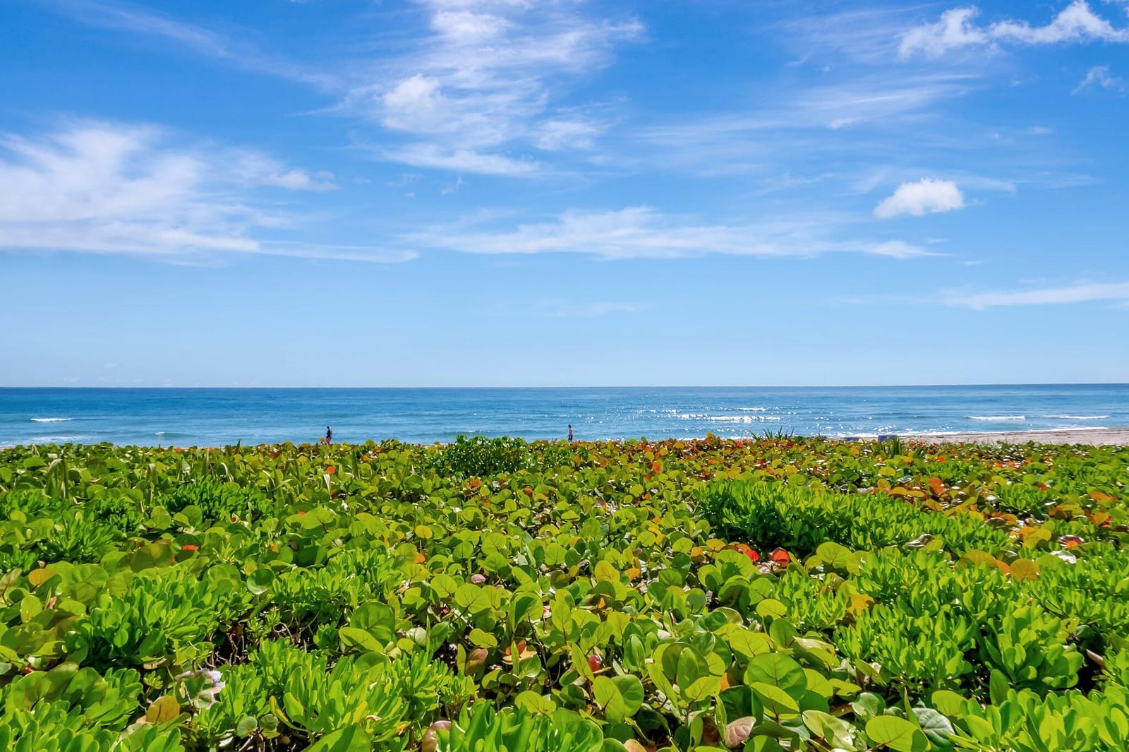 2909 S Ocean Boulevard, 1a1, Highland Beach, FL 33487 photo 18
