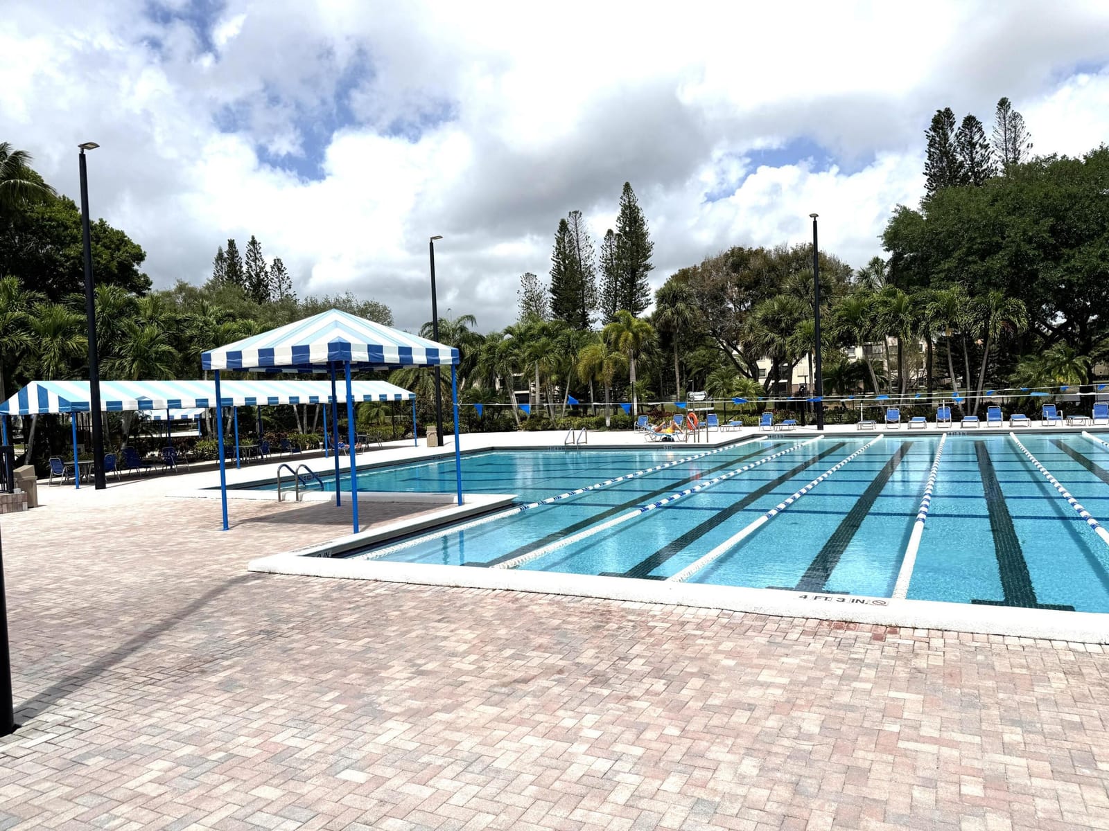 3779 Carambola Circle N 28102, Coconut Creek, FL 33066 photo 27