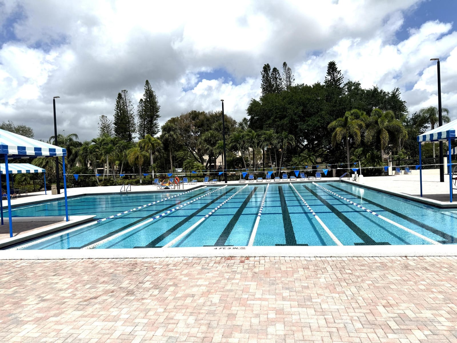 3779 Carambola Circle N 28102, Coconut Creek, FL 33066 photo 28