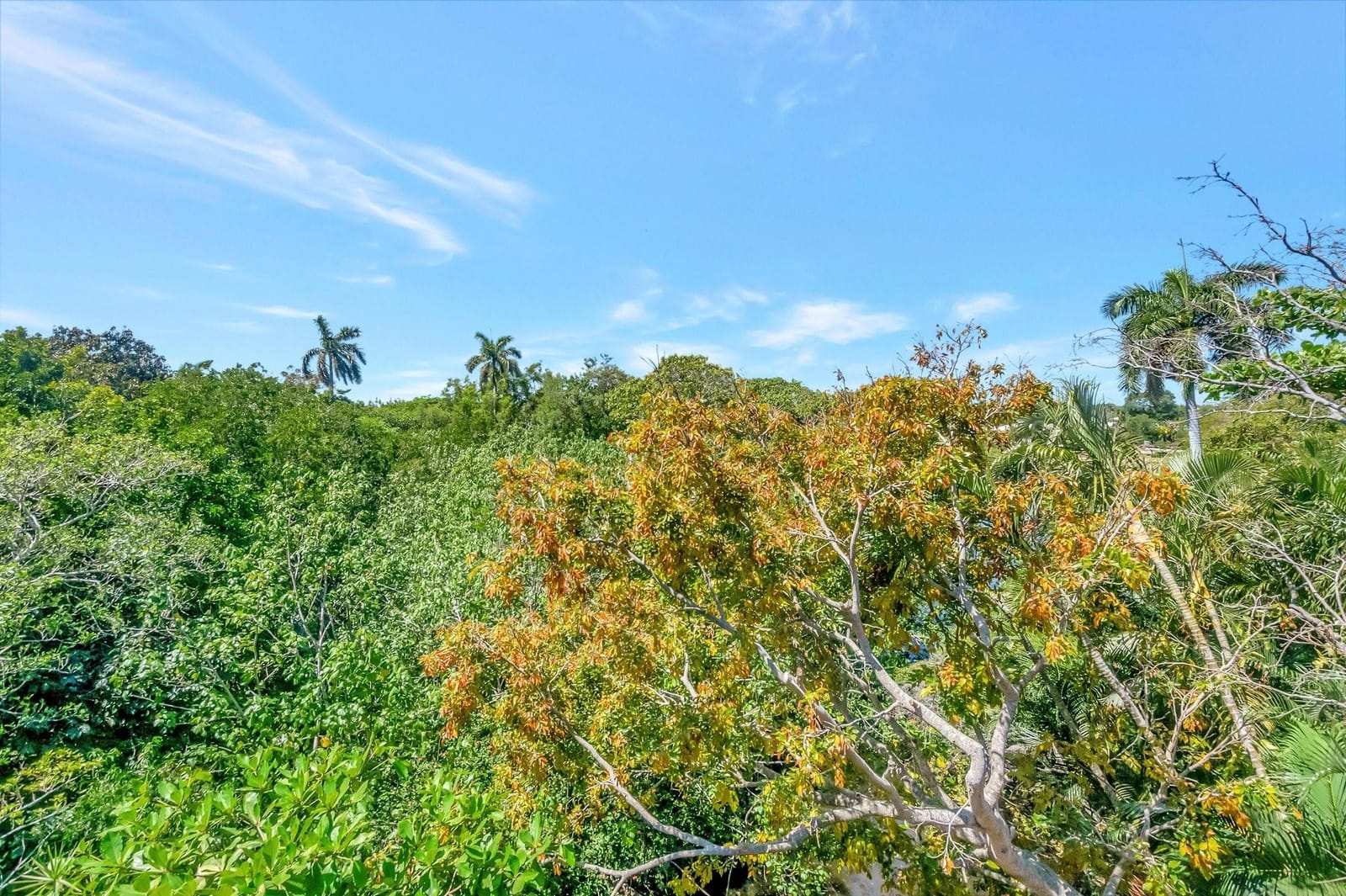 501 SW 11th Place 403, Boca Raton, FL 33432 photo 25