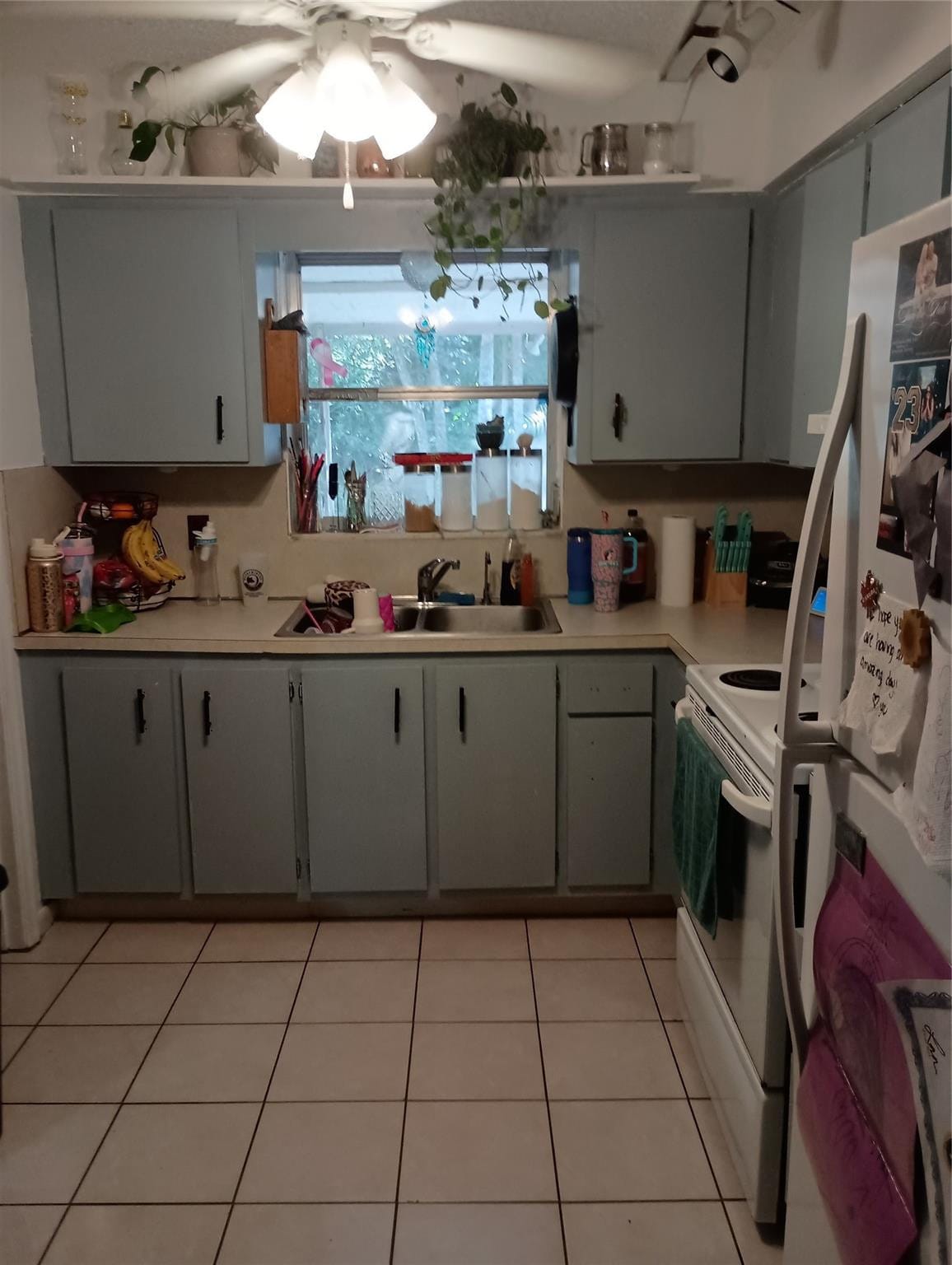 4748 SW 66th Terrace — photo 4