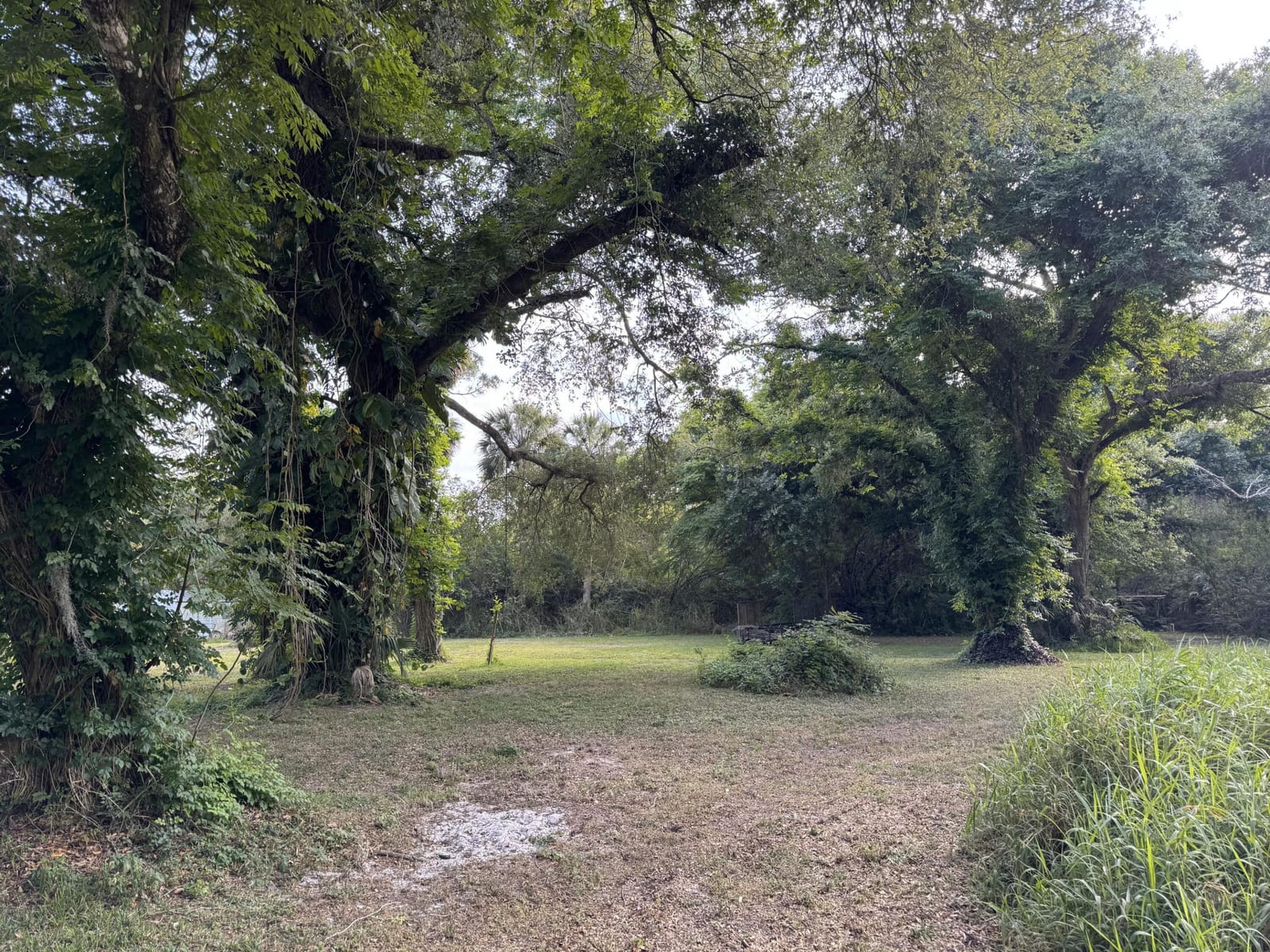 2289 NW 32nd Drive, Okeechobee, FL 34972 photo 7