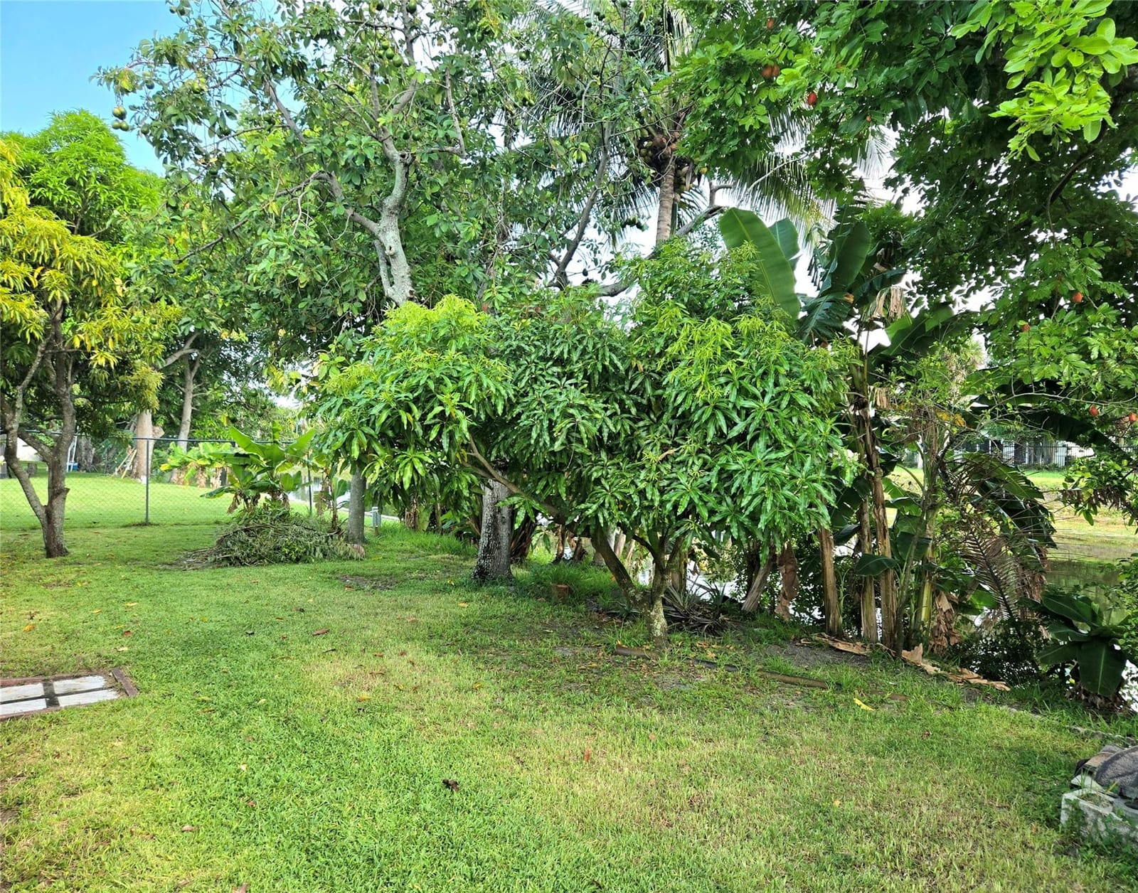 4600 NW 39th Street, Lauderdale Lakes, FL 33319 photo 23