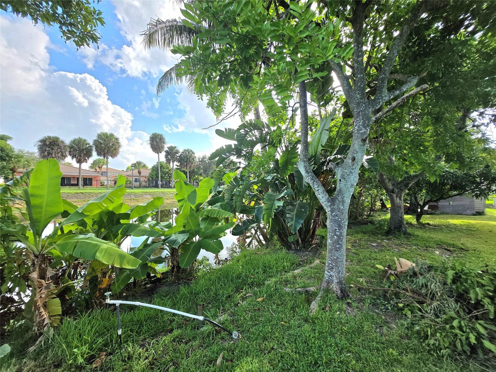4600 NW 39th Street, Lauderdale Lakes, FL 33319 photo 24