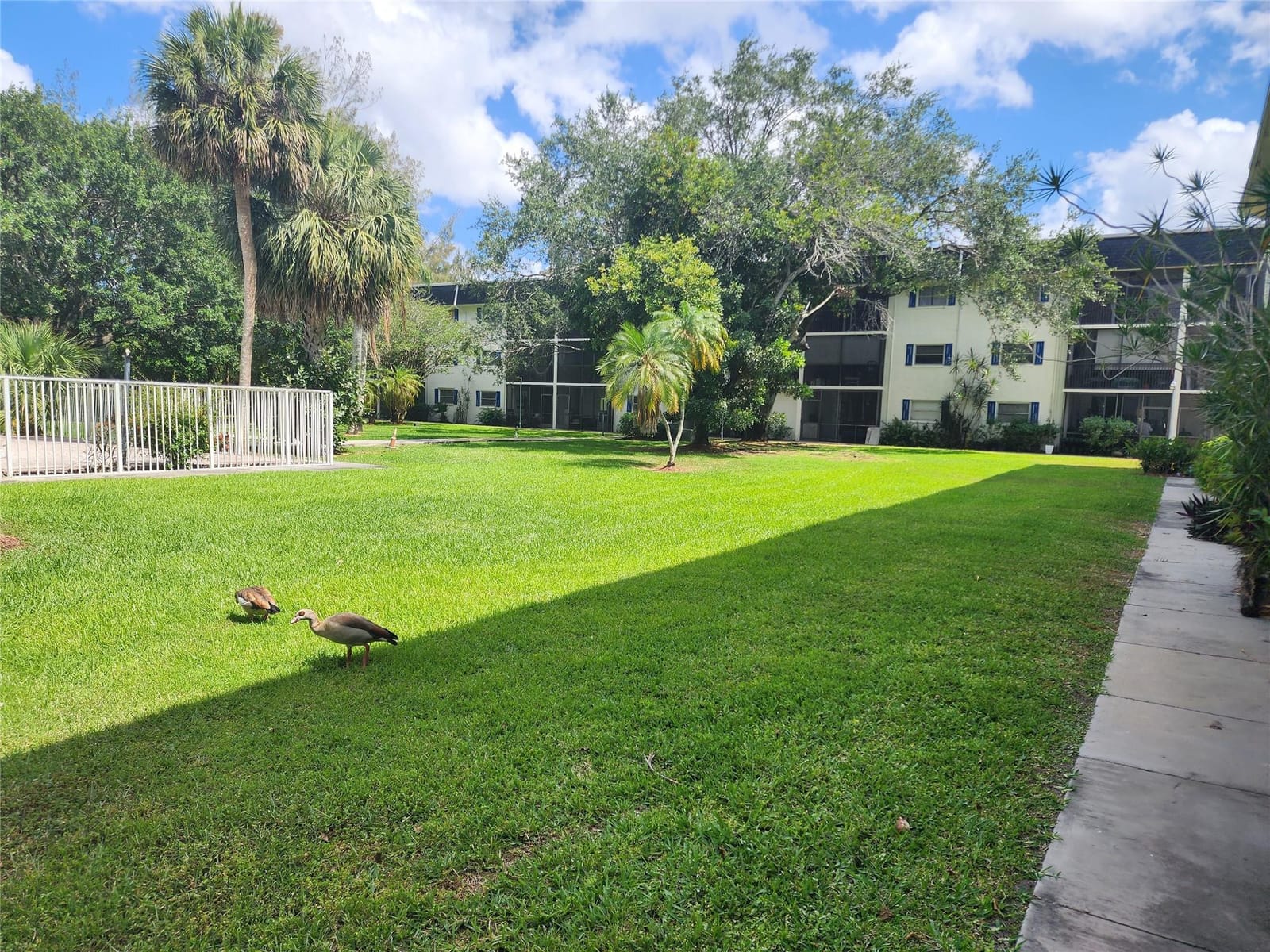 5090 SW 64th Avenue 204B, Davie, FL 33314 photo 30
