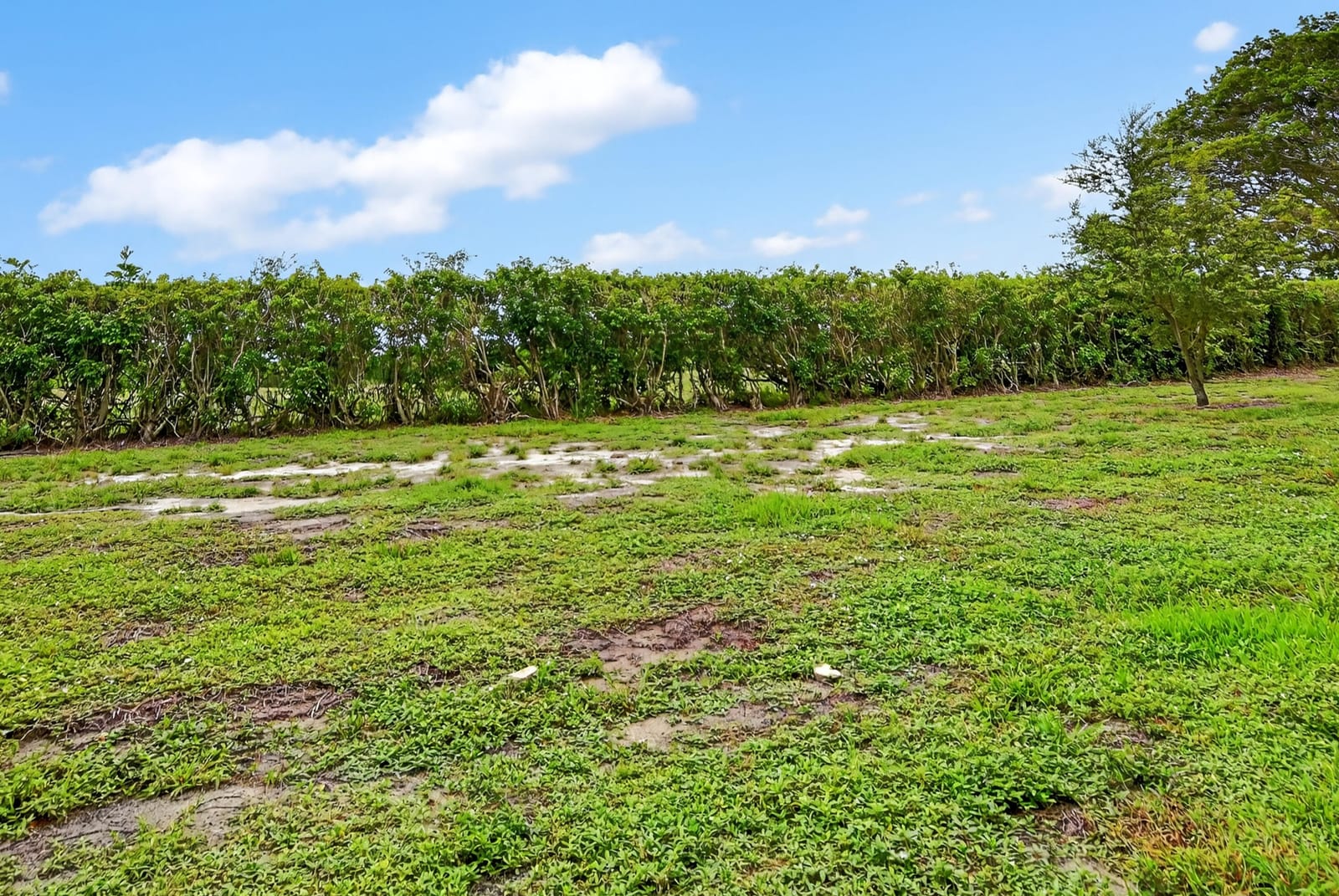 5500 NW 2nd Avenue 118, Boca Raton, FL 33487 photo 27