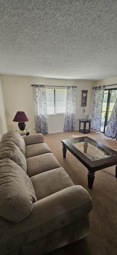 163 Pinto Palm Court 02, Royal Palm Beach, FL 33411 photo 3