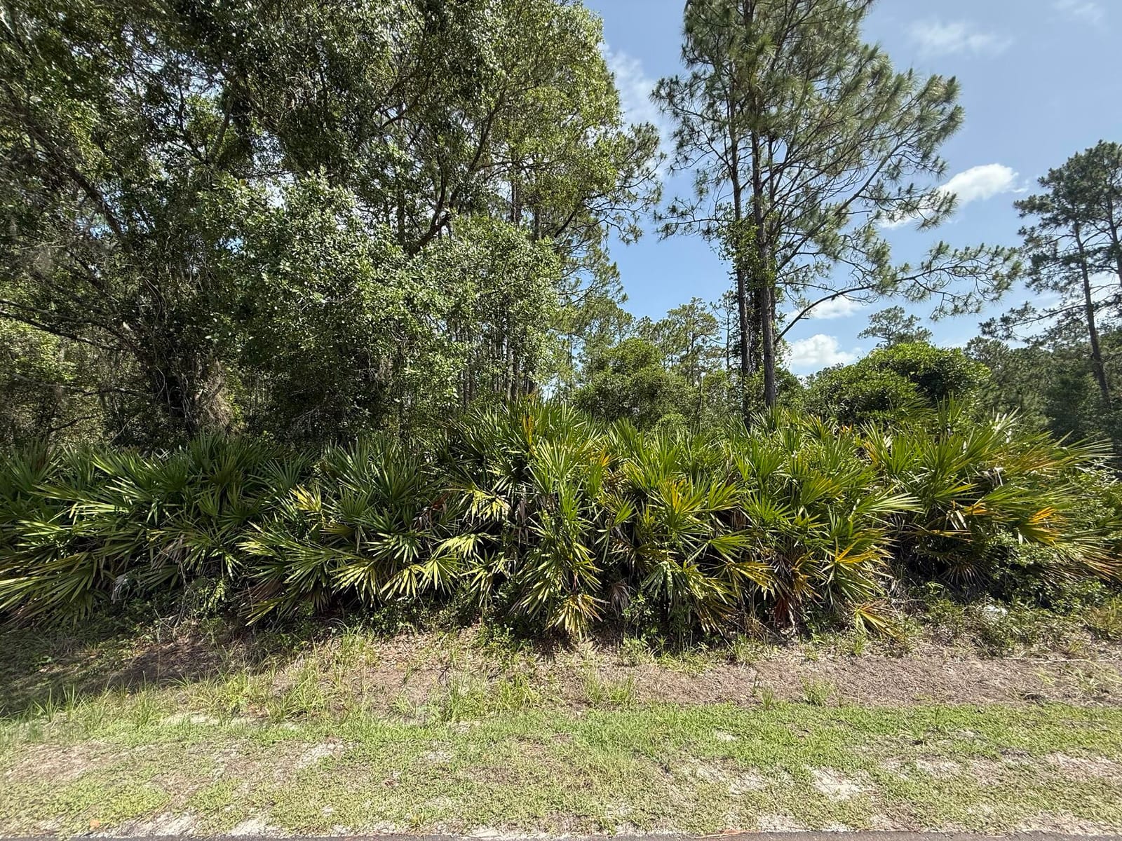 174 Millican Road — photo 4