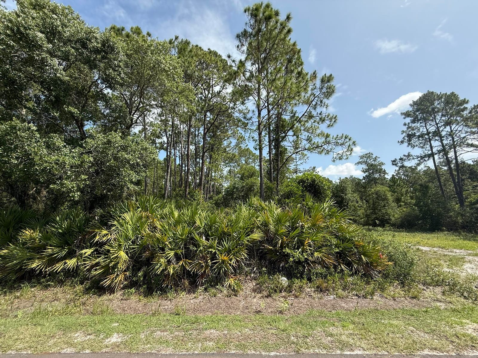 174 Millican Road — photo 5
