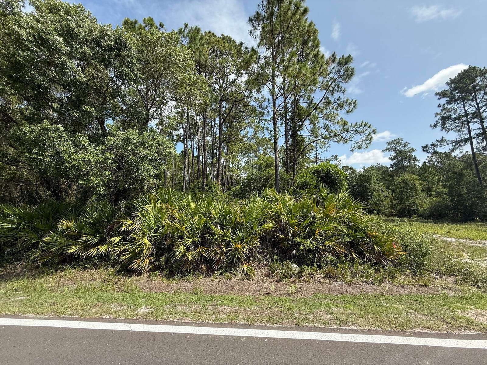 174 Millican Road — photo 6