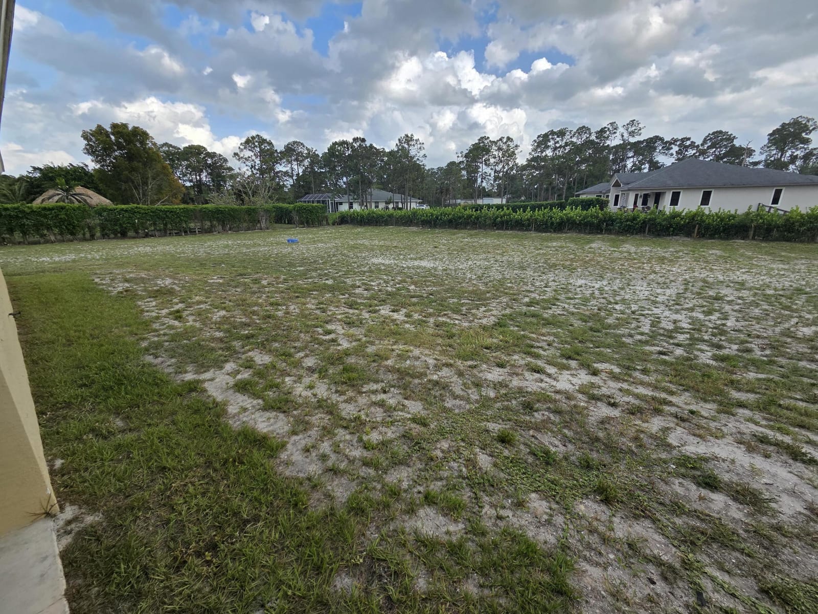 17476 Valencia Boulevard, The Acreage, FL 33470 photo 22