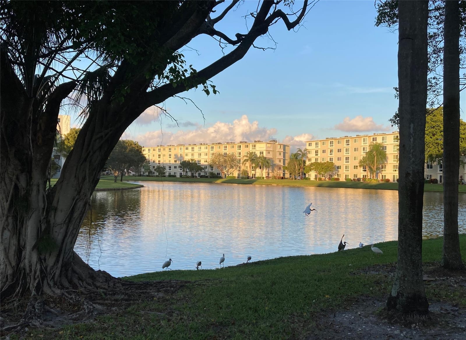 2216 N Cypress Bend Drive 304, Pompano Beach, FL 33069