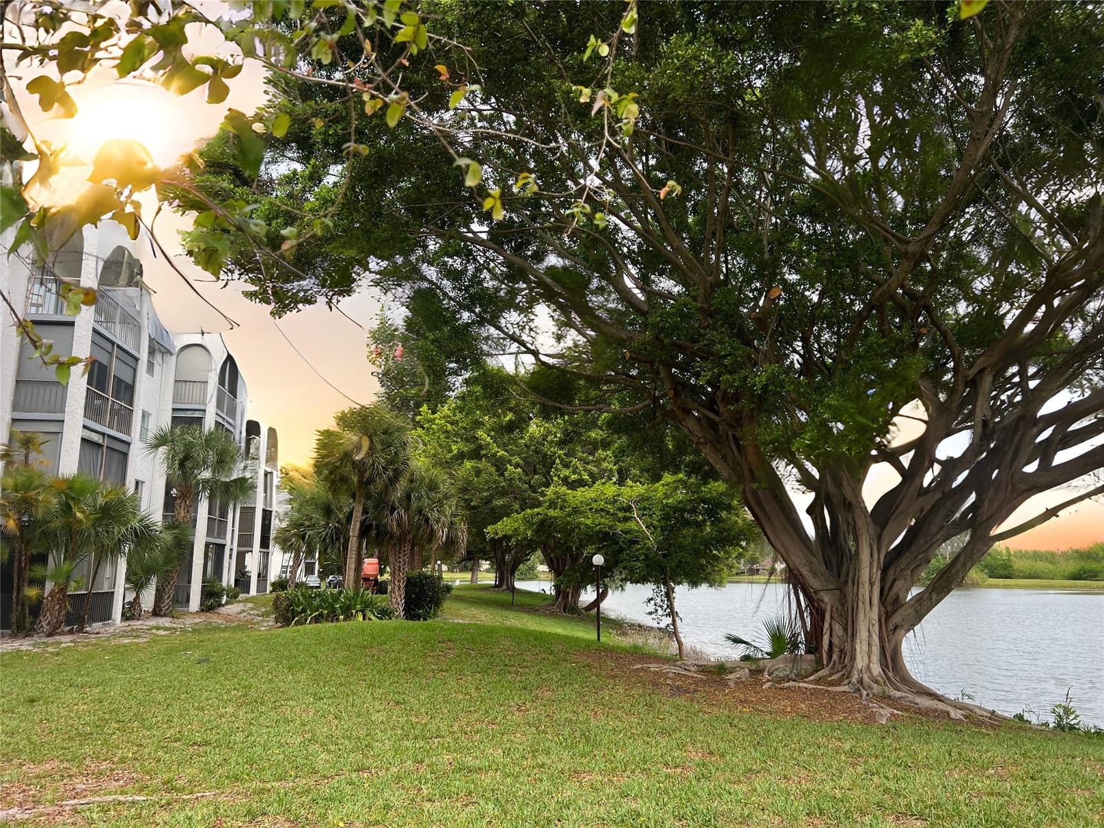 3301 Spanish Moss Terrace 306, Lauderhill, FL 33319 photo 13