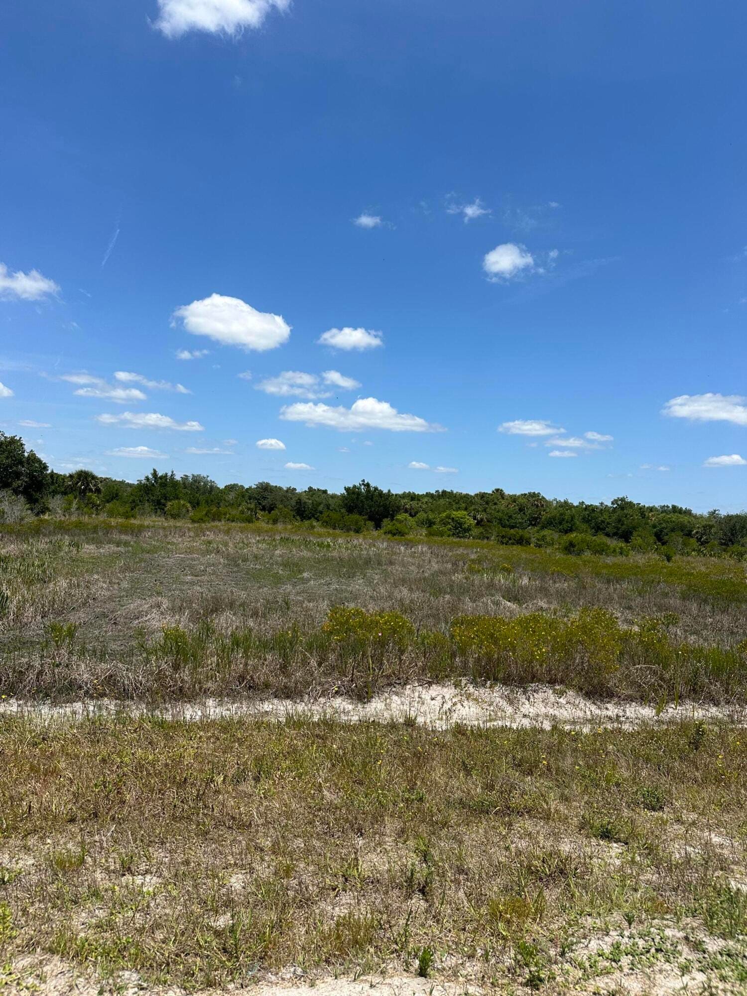 18339 NW Nw 250th Street Street, Okeechobee, FL 34972