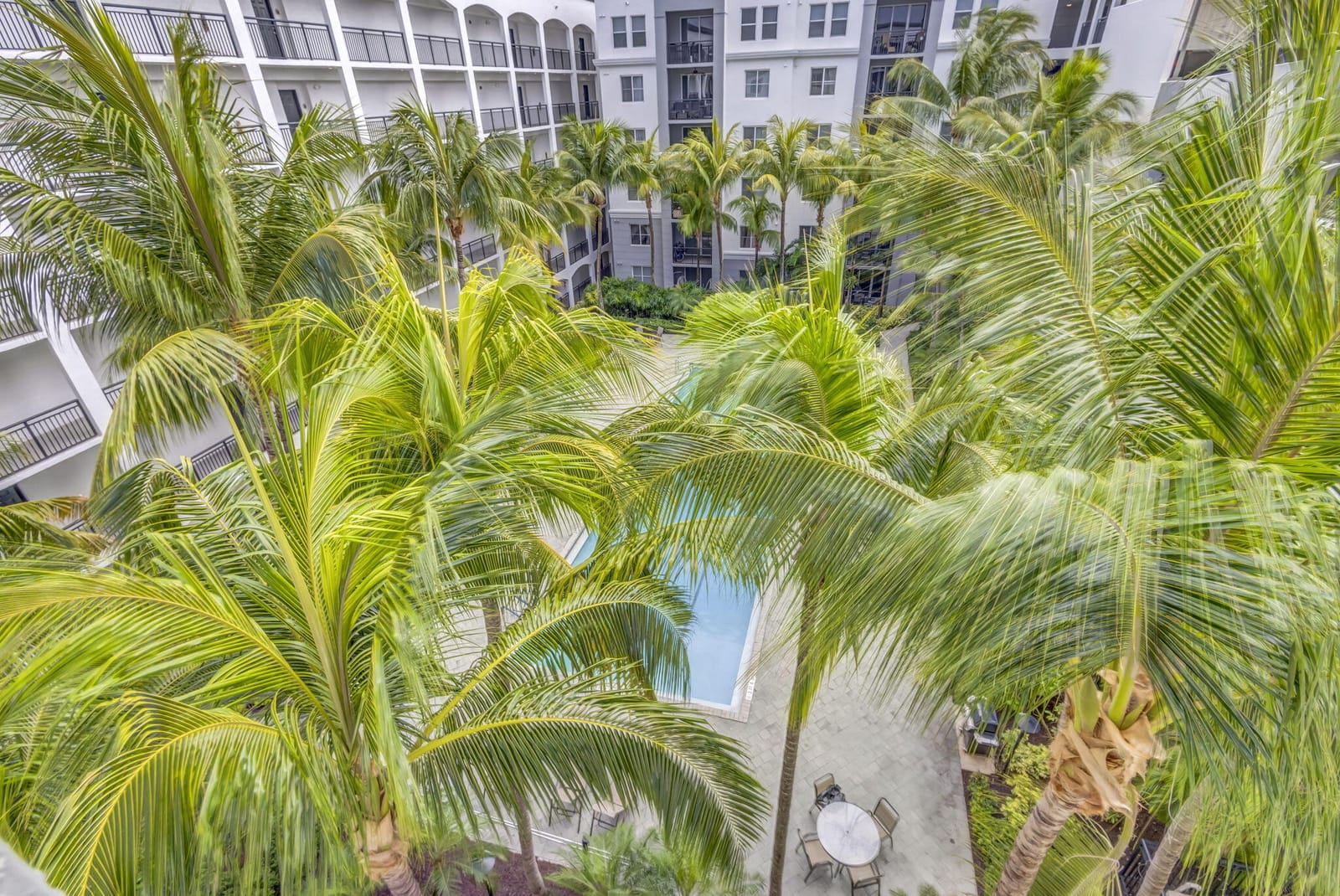 1660 Renaissance Commons Boulevard 2525, Boynton Beach, FL 33426 photo 20