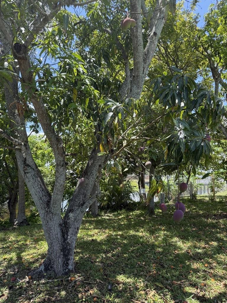 3496 NW 27th Street, Lauderdale Lakes, FL 33311 photo 14