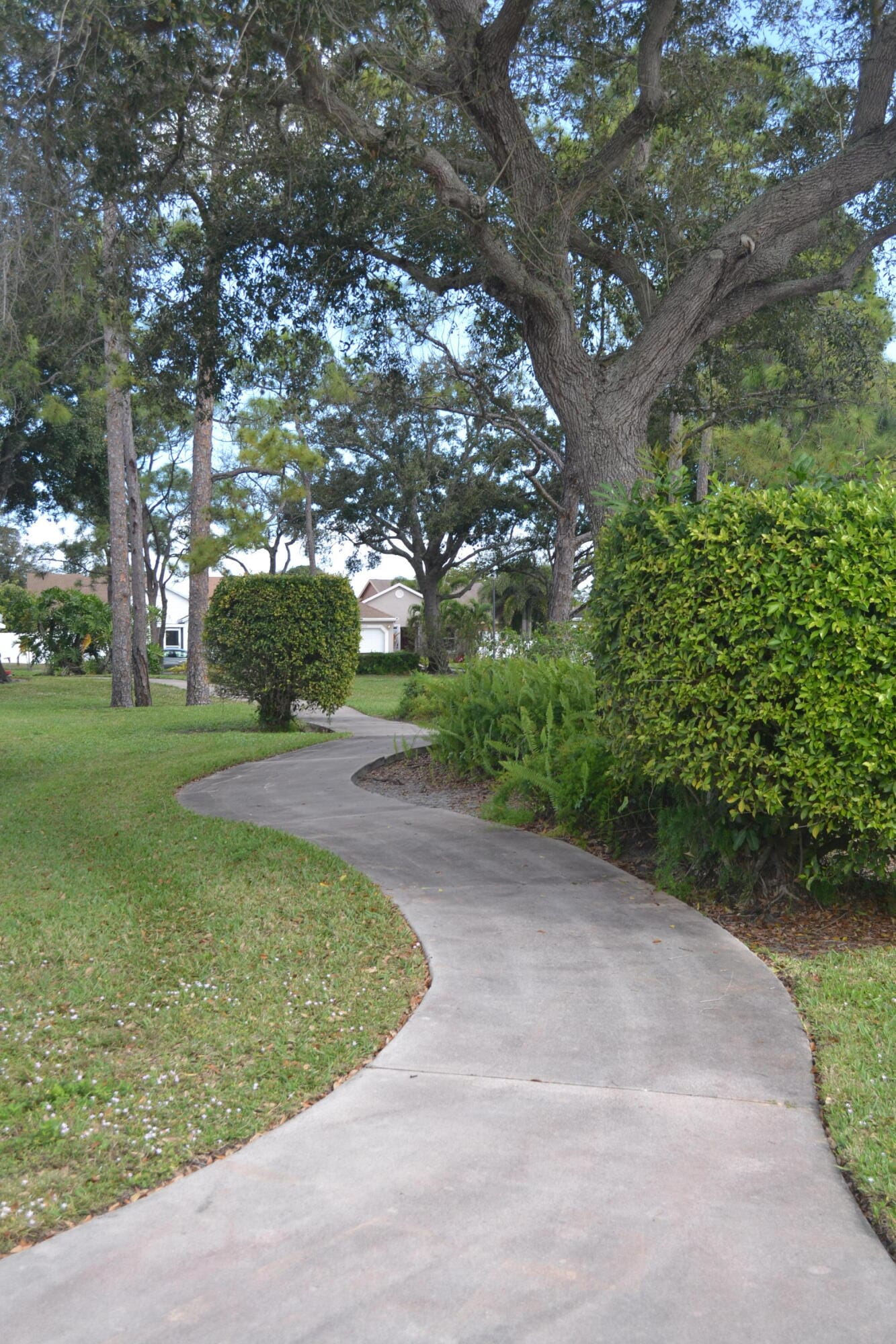 4699 Lakeside Circle, West Palm Beach, FL 33417 photo 15