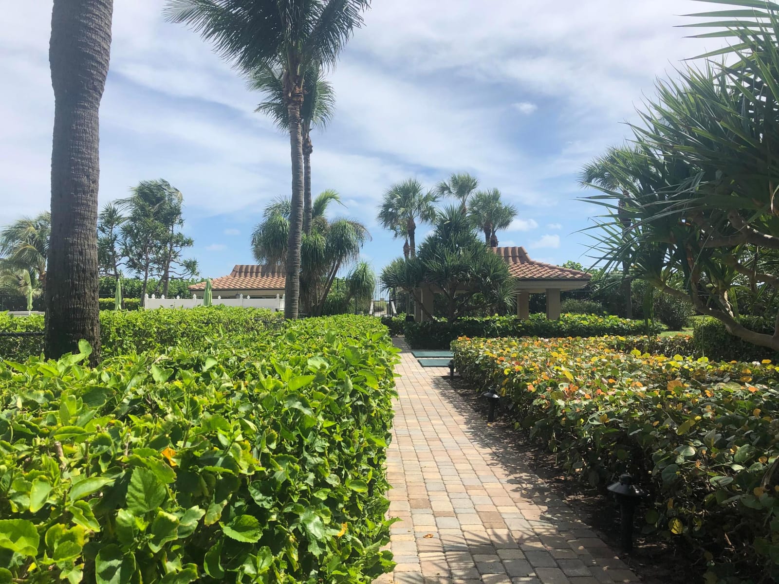 3400 N Ocean Drive 905 — photo 9