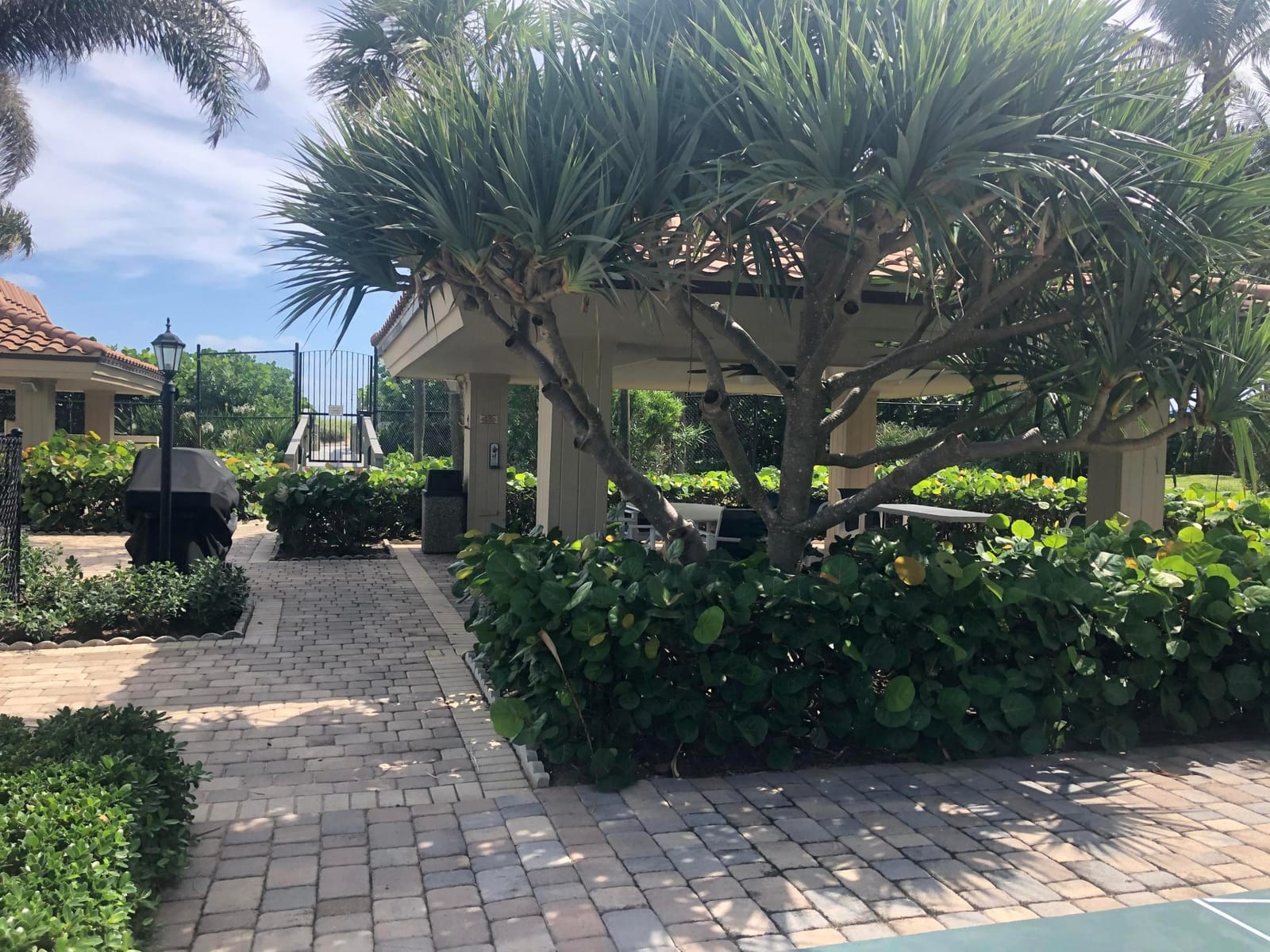 3400 N Ocean Drive 905 — photo 10