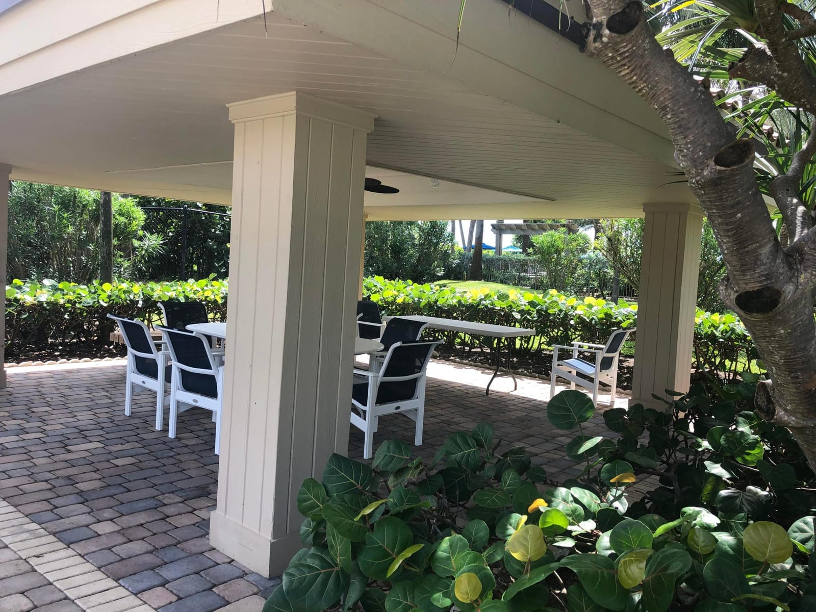 3400 N Ocean Drive 905 — photo 11