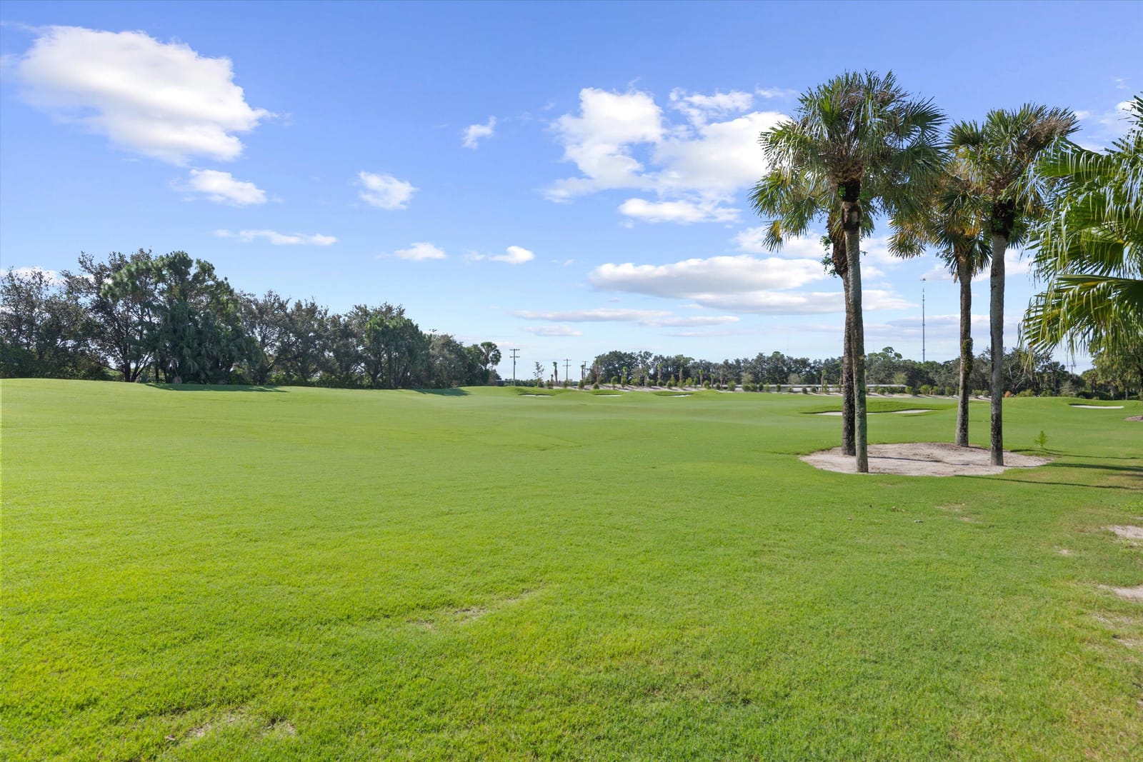 10150 Dover Carriage Lane, Lake Worth, FL 33449 photo 24