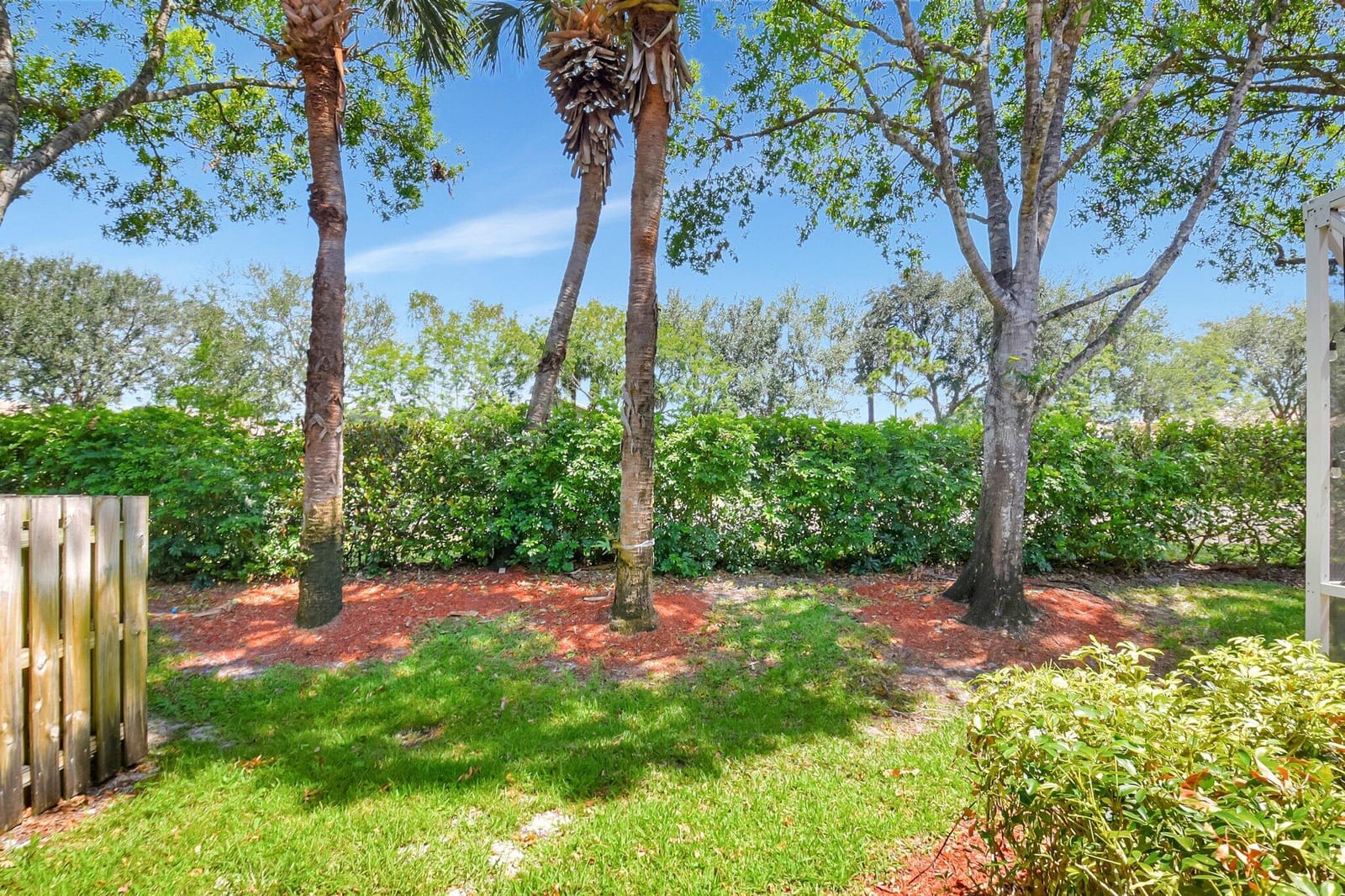 9755 Porta Leona Lane — photo 12