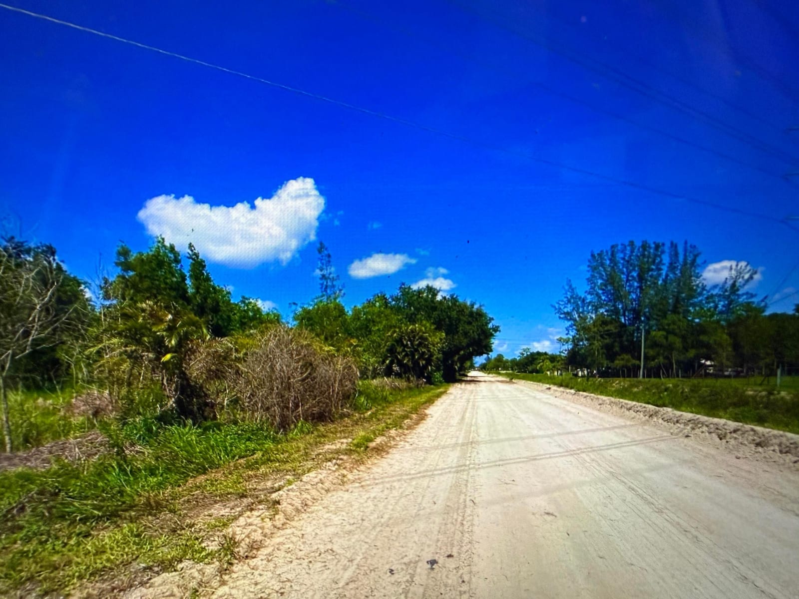 13217 62, The Acreage, FL 33412 photo 5