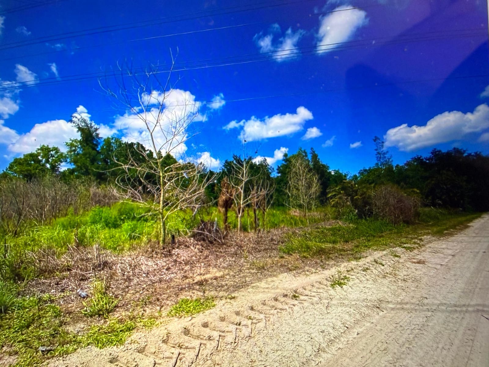 13217 62, The Acreage, FL 33412 photo 7